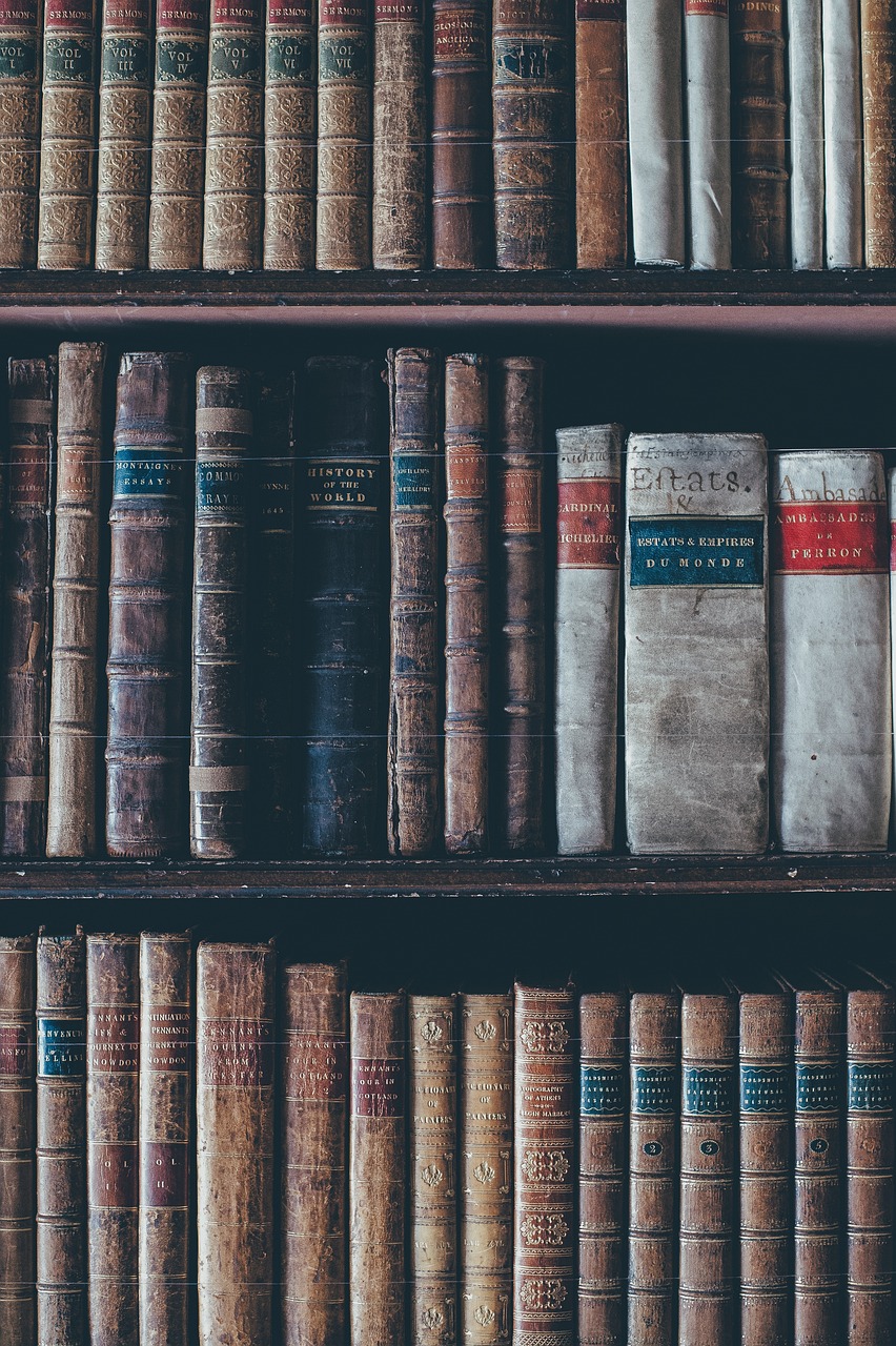 aged, bookcase, books-1867381.jpg